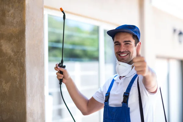 Forney Wasp Removal