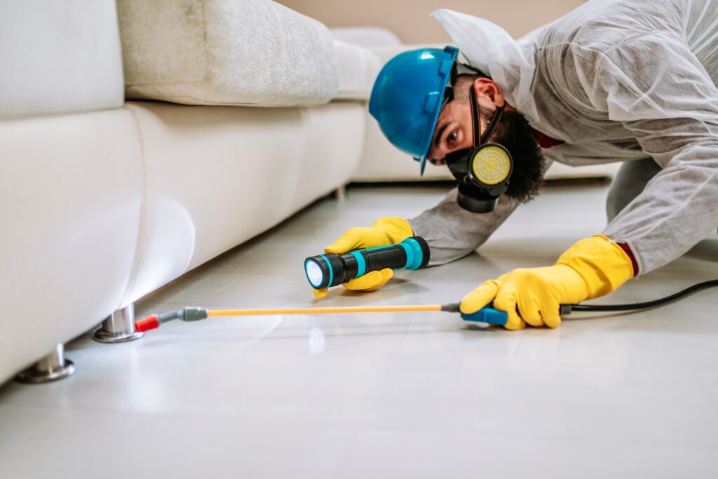Forney Termite Control