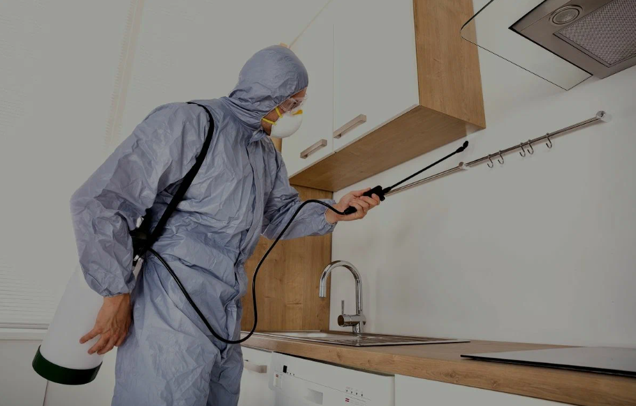 Forney pest managment